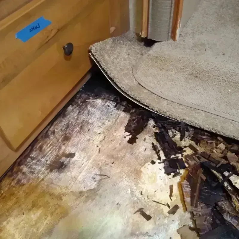 Wood Floor Water Damage in Saint Joseph County, MI